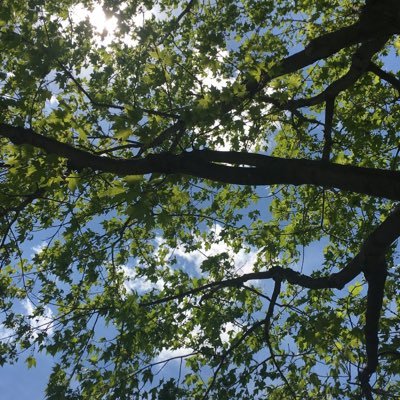 icywinteryzayn's profile picture. 