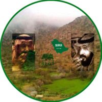 ✌🏻الشاعرة Hm الحارثي (@hm_6133) 's Twitter Profile