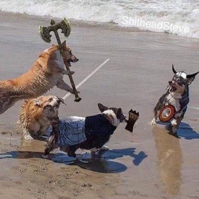 __ghost__0_0__'s profile picture. Skimming paper-thin shavings off the edge of a board with a sharp handplane is one of the many small pleasures of producing accurately dimensioned stock.