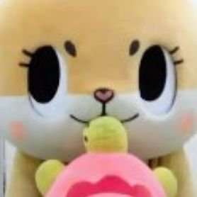 chiitan_cream Profile Picture