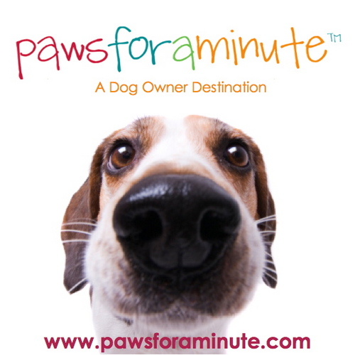 Dog Trainer. Behavioral Expert. Inger Martens http://t.co/WuPoSoXhgv
Dogs. Daily Life. Quick Tips.