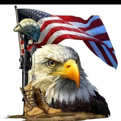 I'm a Veteran, I Love my Country, I Love my Flag, I Love my Freedom.  We're tired of all the stupidity in the government. Do your jobs or go HOME!