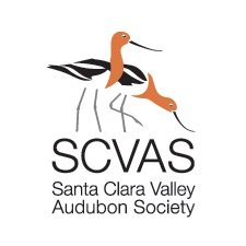 Santa Clara Valley Audubon promotes the enjoyment, and protection of birds through birding, education, and conservation. Account on hiatus, visit https://t.co/K6t6vMyI1B.