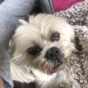 Heidi Stein - @HeidiStein14 - Twitter