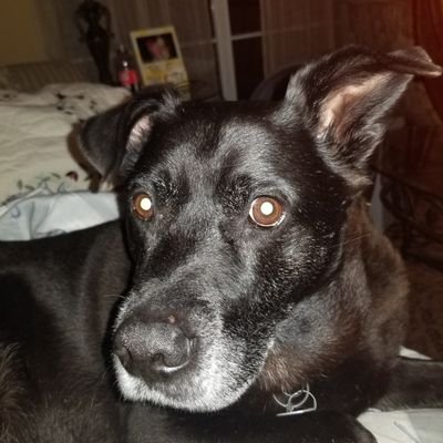 sunberrygirl2's profile picture. 