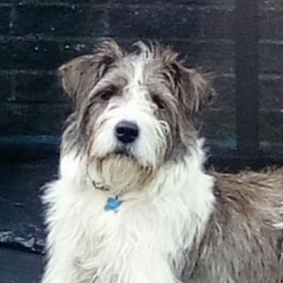 MsYellowleesEPS's profile picture. Teacher