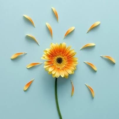 Dhairya591's profile picture. Er.