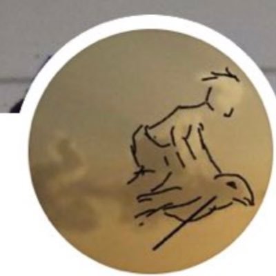 tamerkayaba's profile image