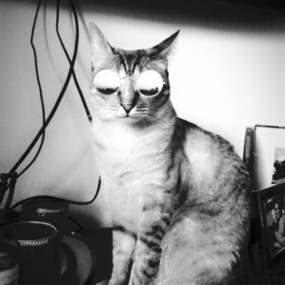 leenirie's profile picture. Katzenliebhaberin. Trash-TV fasziniert. Ruhrpottkind im fränkischen Exil. Früher war mehr Lametta & Twitter witzig. stay calm - life comes in waves