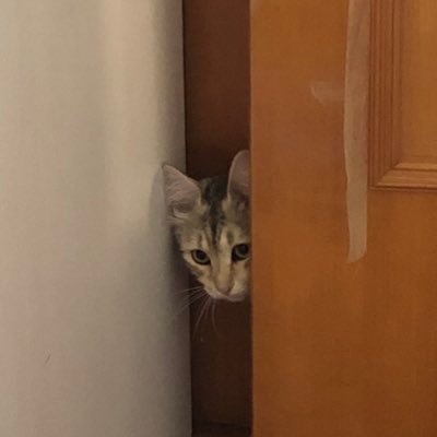 Diana_MyCash's profile picture. Bionda anomala