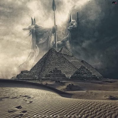 MahmoudAlshamy3's profile picture. 