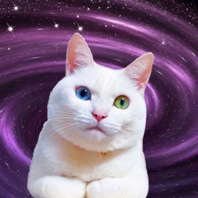 眉子さんのプロフィール画像