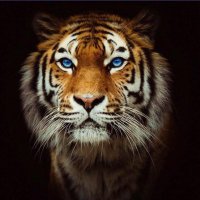 Bricat (@bricat16) 's Twitter Profile Photo Bricat (@bricat16) 's Twitter Profile Photo