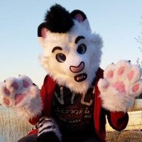 Pora the Tiger 3/2 (@poratiger) 's Twitter Profile