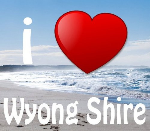 ilovewyongshire's profile picture. This is a place to share your thoughts & photos of the beautiful Wyong Shire. We will keep you updated on local news, events, competitions and local discounts!