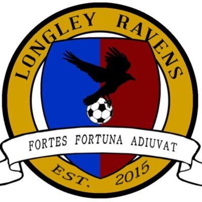 Sheffield Imperial Championship League 20/21 League Cup finalist 18/19. EST 2015 #Hawoom