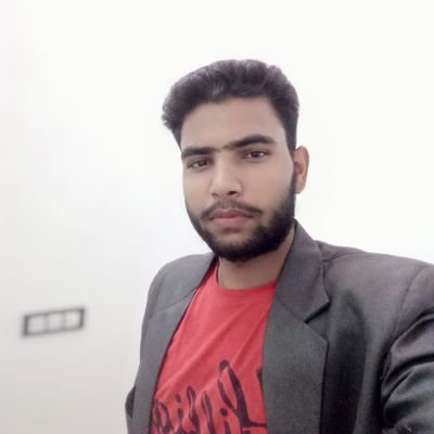 Civil Engineer ,social worker, animal lover,