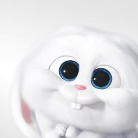 Bunny.ya🐰 (@678riska) 's Twitter Profile