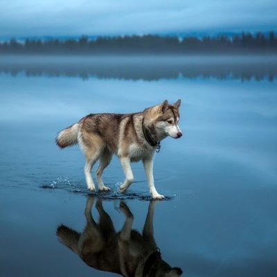 Lutho07573563's profile picture. I follow back