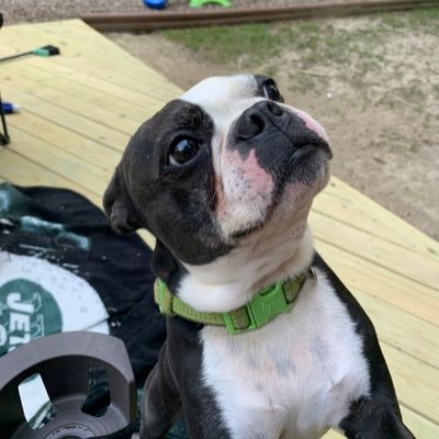 ScottRVAHomes5's profile picture. I’m a Realtor who works hard for you even in the late hours. I will always put your best interest first. Let me help you find your DREAM HOME!!!