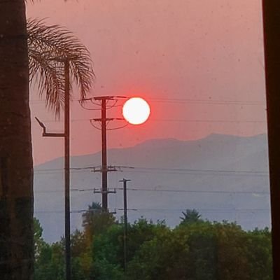 Madigan12807138's profile picture. Hello there! support your local skeletons!