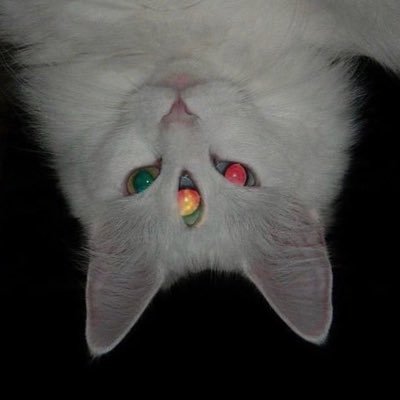 mixcter's profile picture. ☆ 𝑒𝒶𝓉 𝒹𝒾𝓇𝓉 ☆