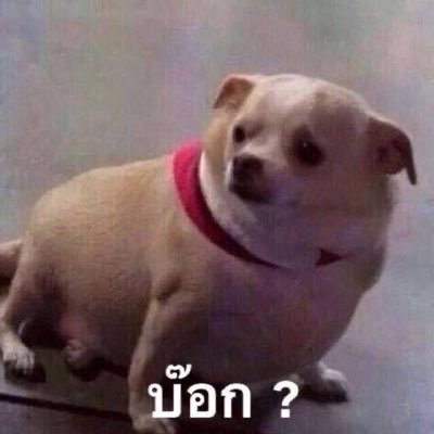 Whoiam84753735's profile picture. fair.fairy.yy