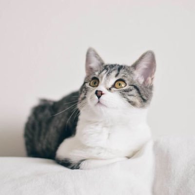 Normal80220057's profile picture. 