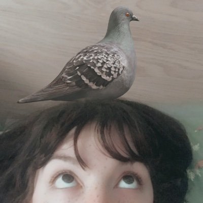 mttrbck's profile picture. 🦉🦅🦆
tweet tweet