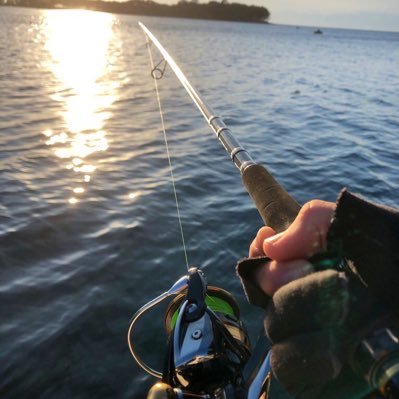 turiaka_taro's profile picture. 魚捌き・釣り・アクアリウムなどなど垢です。魚捌いたり食べるのが大好きです！釣りでは、主にヘチ・アジング・ショアジギングをやっています！気軽に絡んでください！フォローよろしくお願い！します #釣り #ヘチ釣り #ヘチ #魚 #魚捌き