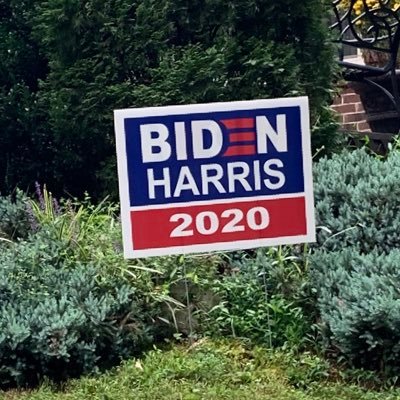 Democrat, Longhorn Fan. Cherokee, NC. #Native I ❤️ doggies!