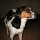 Catherine Kiser - @catherineVT - Twitter