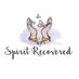 Spirit Recovered (@RecoveredSpirit) Twitter profile photo