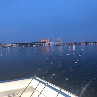 pruettd13's profile picture. Nature, beach, animal lover.