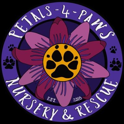 petals4paws Profile Picture