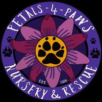 Petals-4-Paws Nursery & Rescue(@petals4paws) 's Twitter Profile Photo