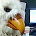 The Eagle: CNY's guide for news, views and things to do.  Follow us  for all things Syracuse!