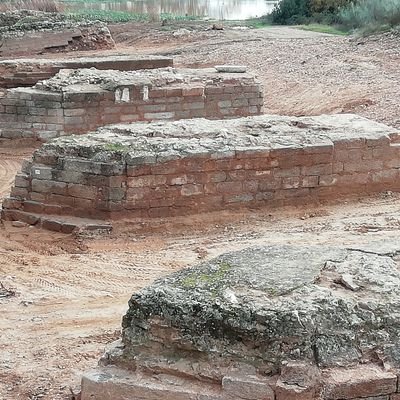 petri_63's profile picture. Secretaria de Organización del PSOE de Medellín y Yelbes.