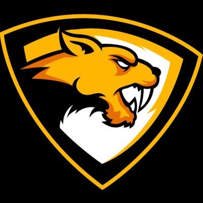 Twitch: https://t.co/UHVfn0dBYT
Discord: https://t.co/MLcU76vwlQ