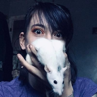 I like talking about my rats so here we are 🐁 rat rescuer and crazy rat lady 🐁 send me rat pics🐁