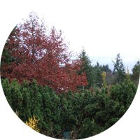 Mohammed Albarrak (@albarrakmb) Twitter profile photo