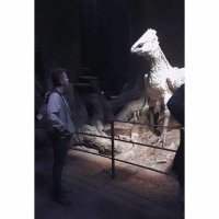 Ben Pengilly (@ben_pengilly) 's Twitter Profile