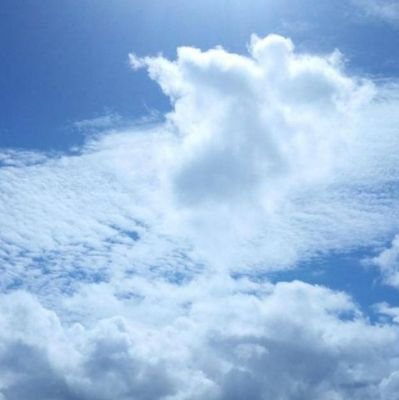 jastican's profile picture. Experienced in Information Communication Technology with a demonstrated history of working in the IT industry. Skilled in Management, Customer Service, Software