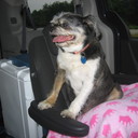 Frank Notaro - @Redsox1158 - Twitter