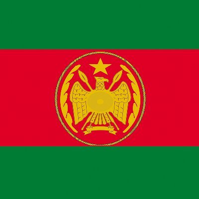 Somali National Armed Forces Profile