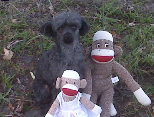 demoderby03's profile picture. I am married and have 2 beautiful daughtets and 3 step-sons. I love demolition derbies, Nascar, spending time with my family and reading.