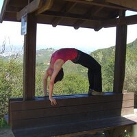 Michelle Nixon - @HikingYogini Twitter Profile Photo