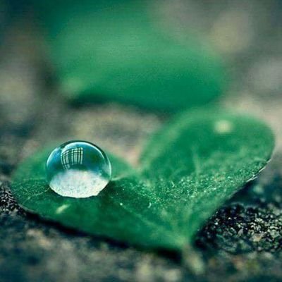 ViOeSoqlHbkBN2f's profile picture. 