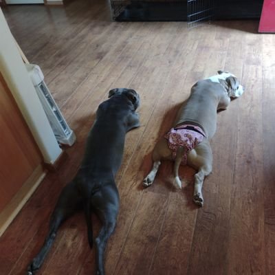 Idontge13098091's profile picture. Weeeeee!