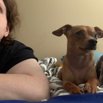 dlee0013's profile picture. I tweet sometimes.